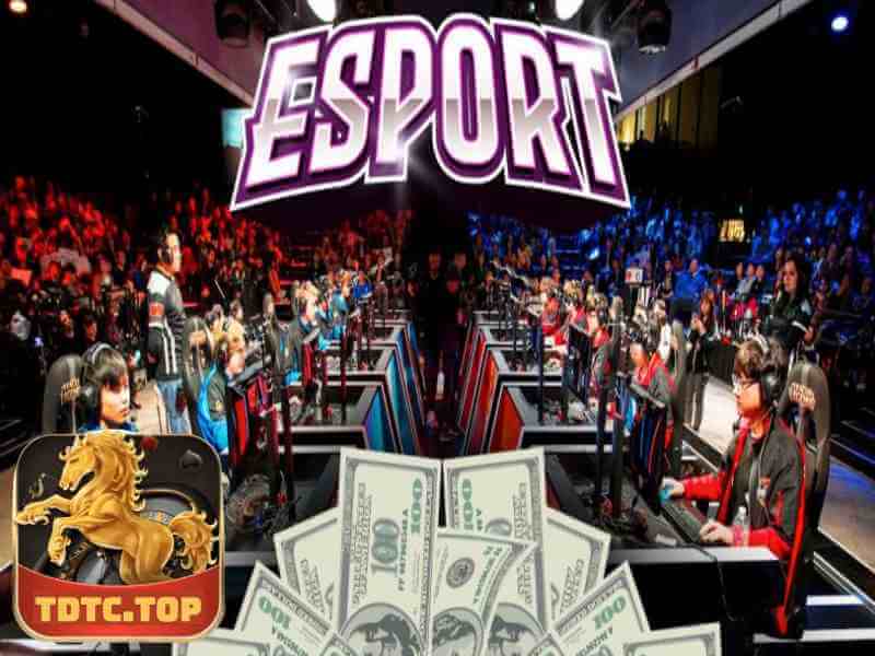 Tìm Hiểu Về Cá Cược Game Esports Tại Nhà Cái TDTC