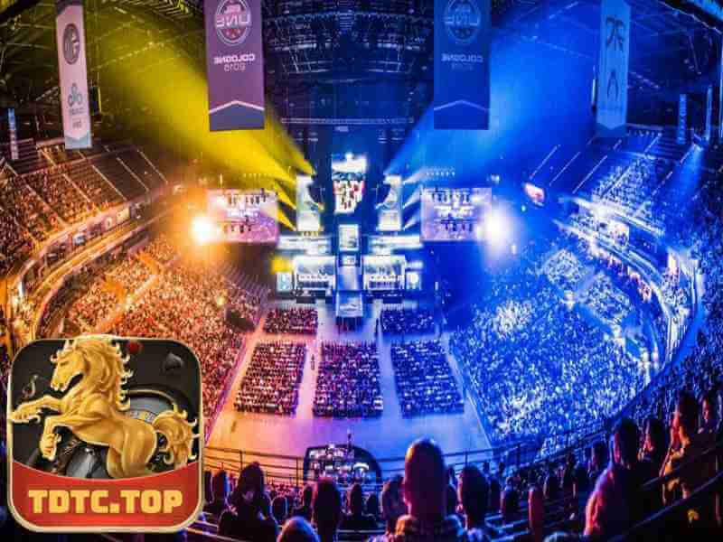 Cá Cược Esports Là Gì? Tìm Hiểu Nhà Cái TDTC 