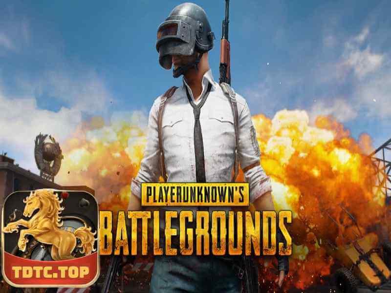 Đọc Ngay Nếu Bạn Muốn Thắng Cá Cược PUBG TDTC